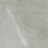 Timeless Amani Grey