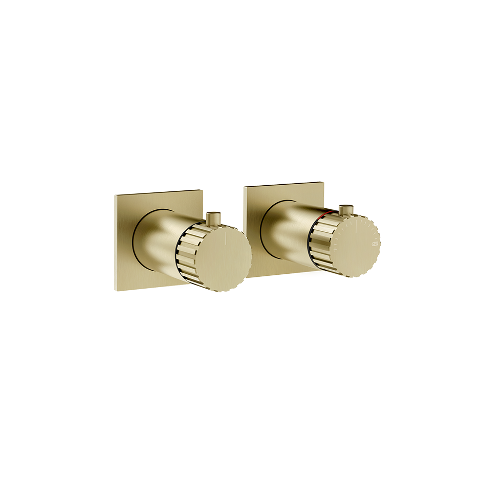 75134 - Brass Brushed Pvd
