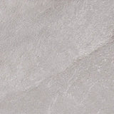Natural Stone Fossil