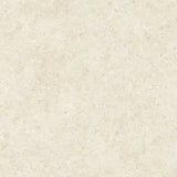 Stontech/4.0 Stone_02