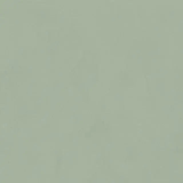 Policroma Lichene Casa Serano