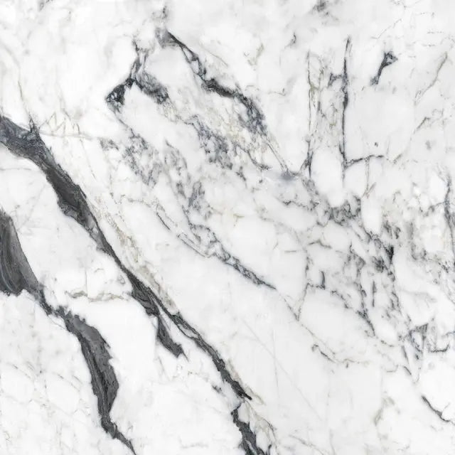 Les Bijoux Calacatta Altissimo Blanc Casa Serano