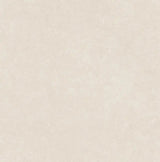 Elemental Stone White Sandstone