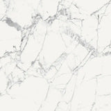 Les Origines Blanc