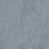 Match-Up Blueberry