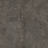 Stone Life Graphit