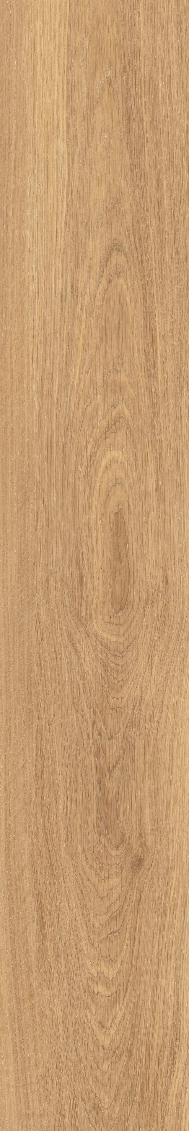 Oaky Life Golden Oak Casa Serano