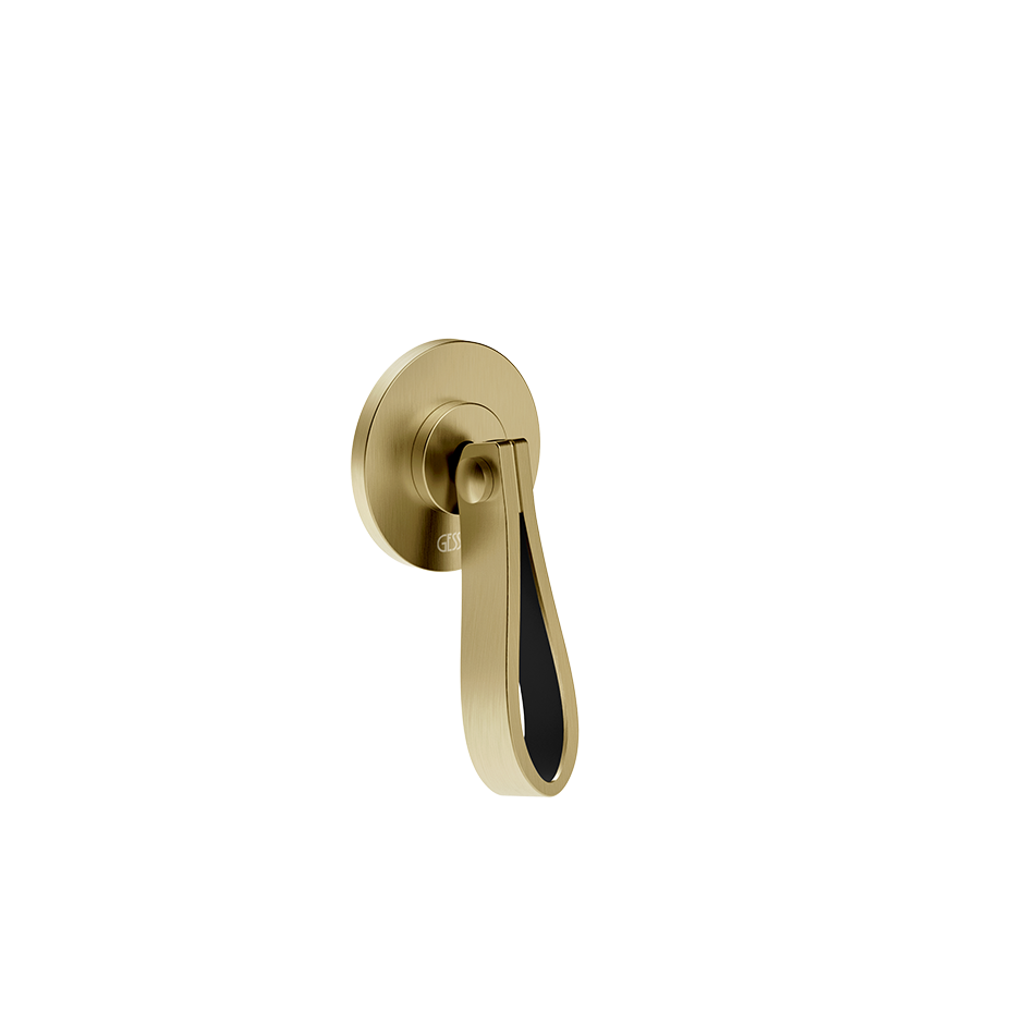 78309 - Brass Brushed Pvd