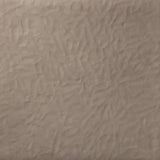 Segnature Foglio Corteccia