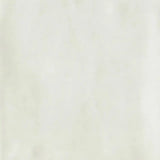 SensiColore Bianco