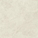 Boost Icor Bone