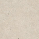 Elysian Beige Catalan