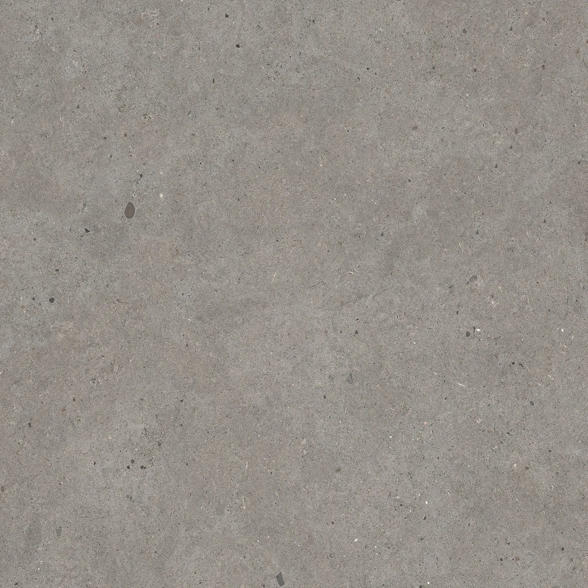 Elysian Gris Catalan