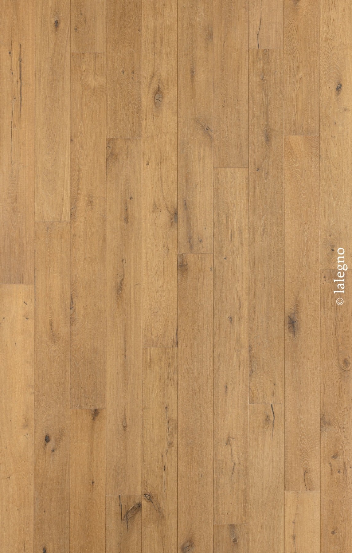 CLASSIC B - HONORAT - HUILE UV