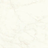 Prestige CALACATTA DELICATO