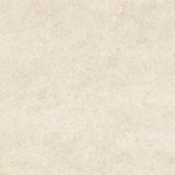 Stature IVORY
