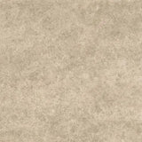 Stature GREY