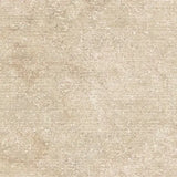 Stature BEIGE LINE