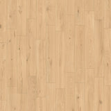 Izumi Charo Classico