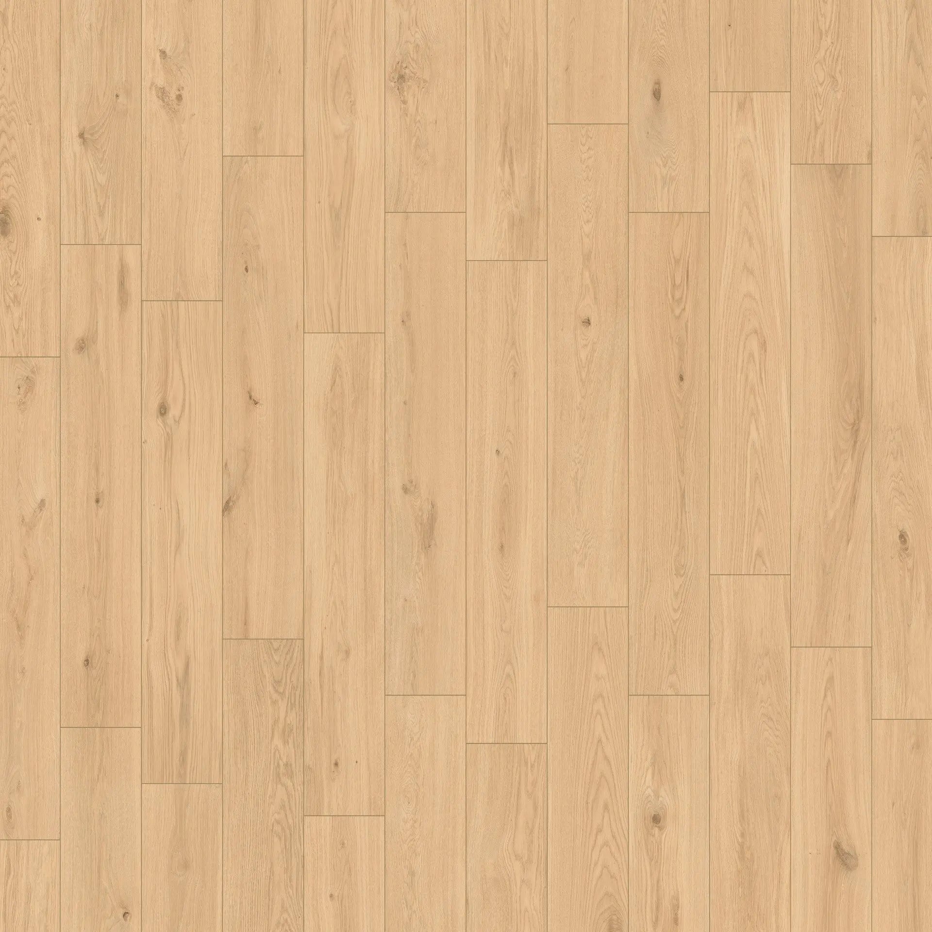 Izumi Charo Classico