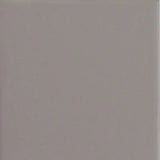 Joint Grey