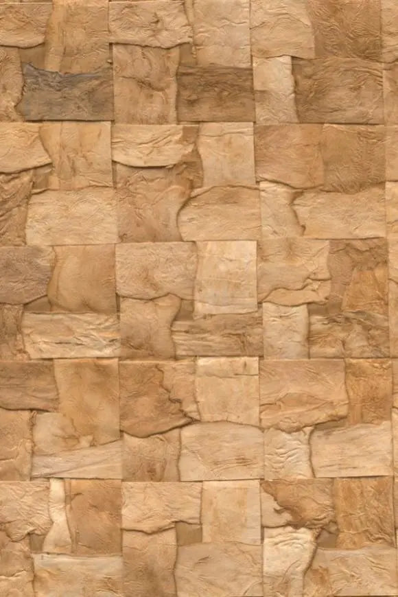 Alba Arte International