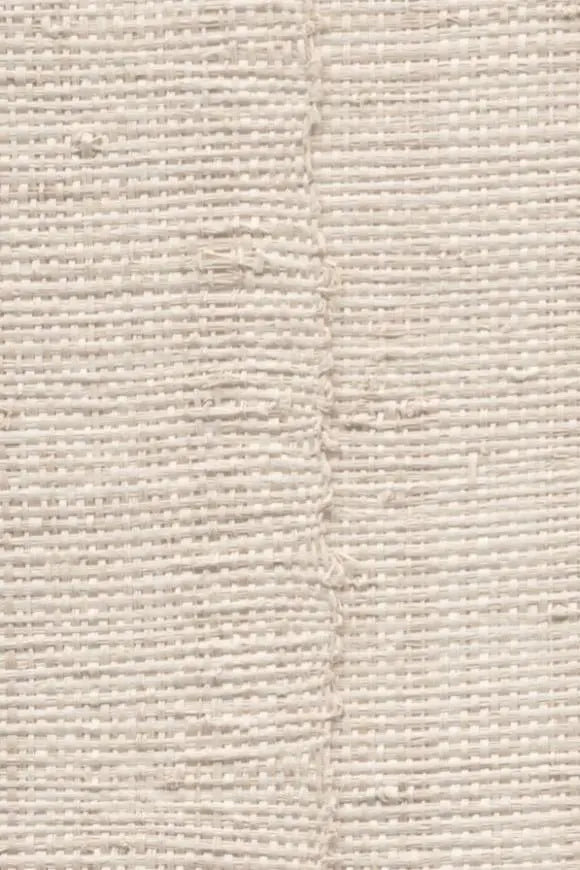 Farini Arte International