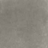 Polveri Coal