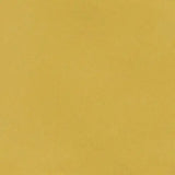 Vernici Mustard Mayo