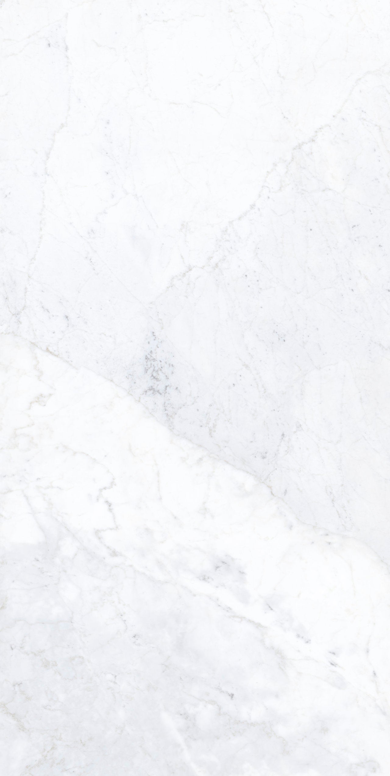 Marmi Maxfine Statuario Delicato carrelage