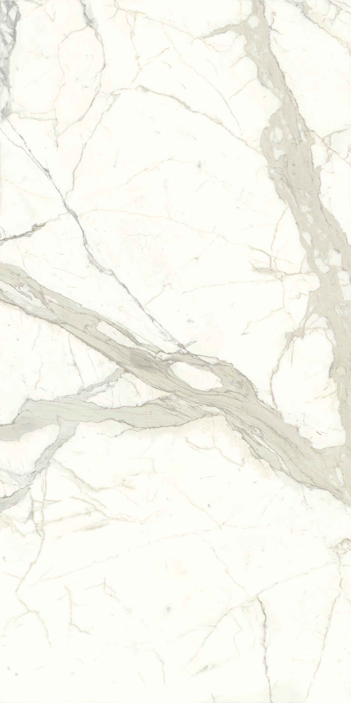 Marmi Maxfine White Calacatta carrelage