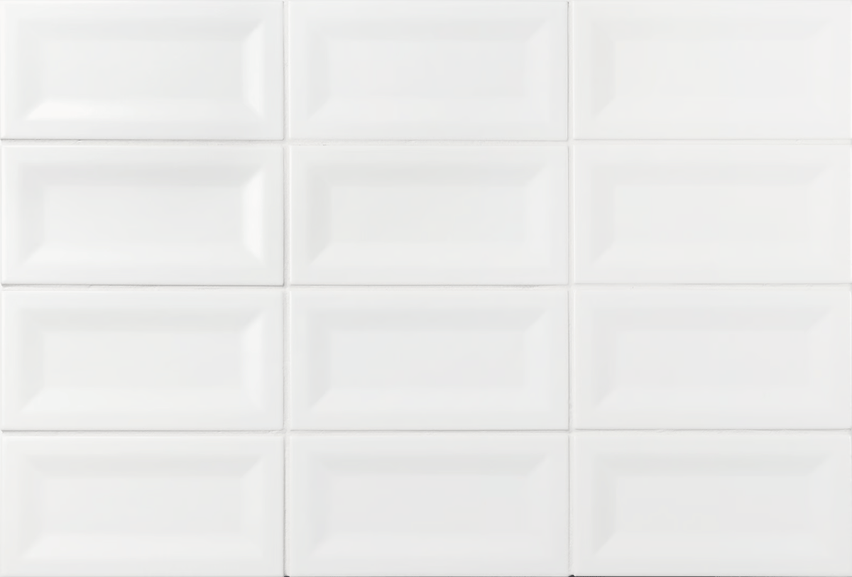 Evolution Blanco ABK
